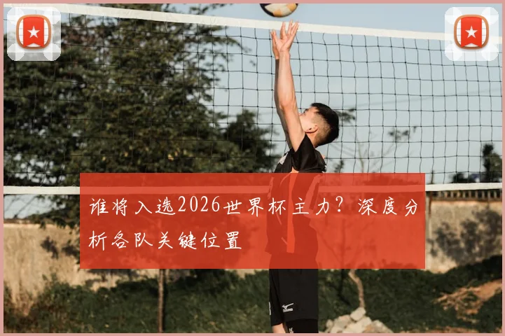 谁将入选2026世界杯主力?深度分析各队关键位置