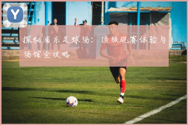 探秘浦东足球场：顶级观赛体验与场馆全攻略