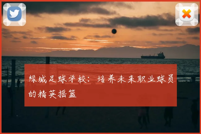 绿城足球学校:培养未来职业球员的精英摇篮