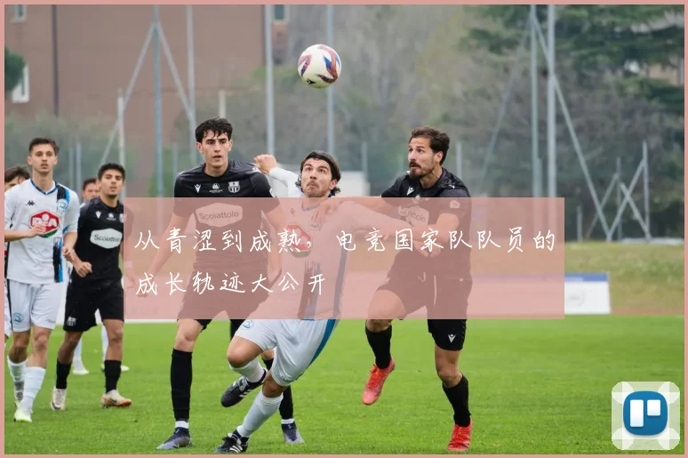 从青涩到成熟,电竞国家队队员的成长轨迹大公开