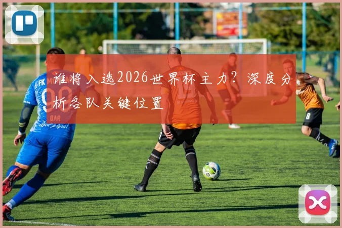 谁将入选2026世界杯主力?深度分析各队关键位置