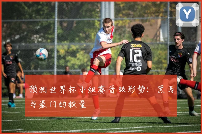 预测世界杯小组赛晋级形势：黑马与豪门的较量
