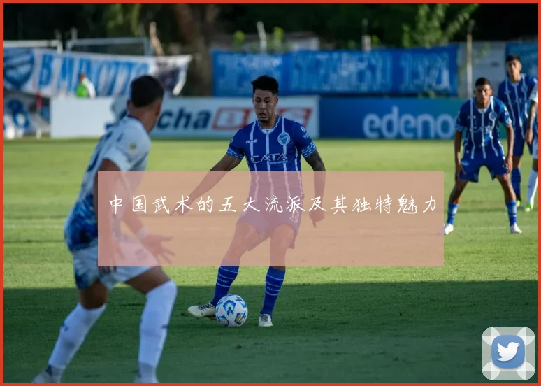 中国武术的五大流派及其独特魅力